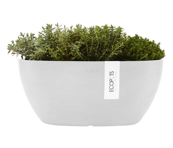Ecopots Kunststoff-Schale Sofia mit