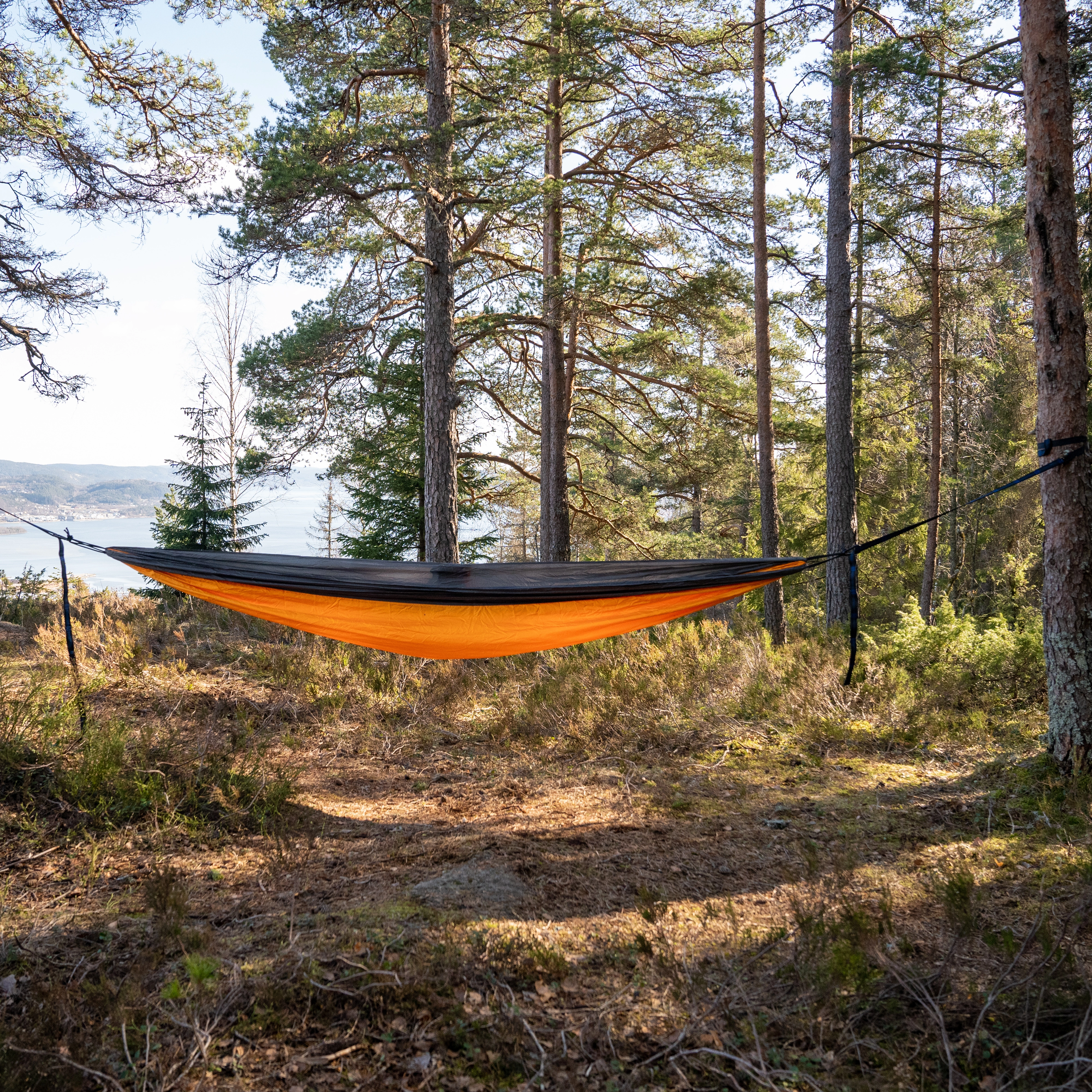 Single Hammock Orange
