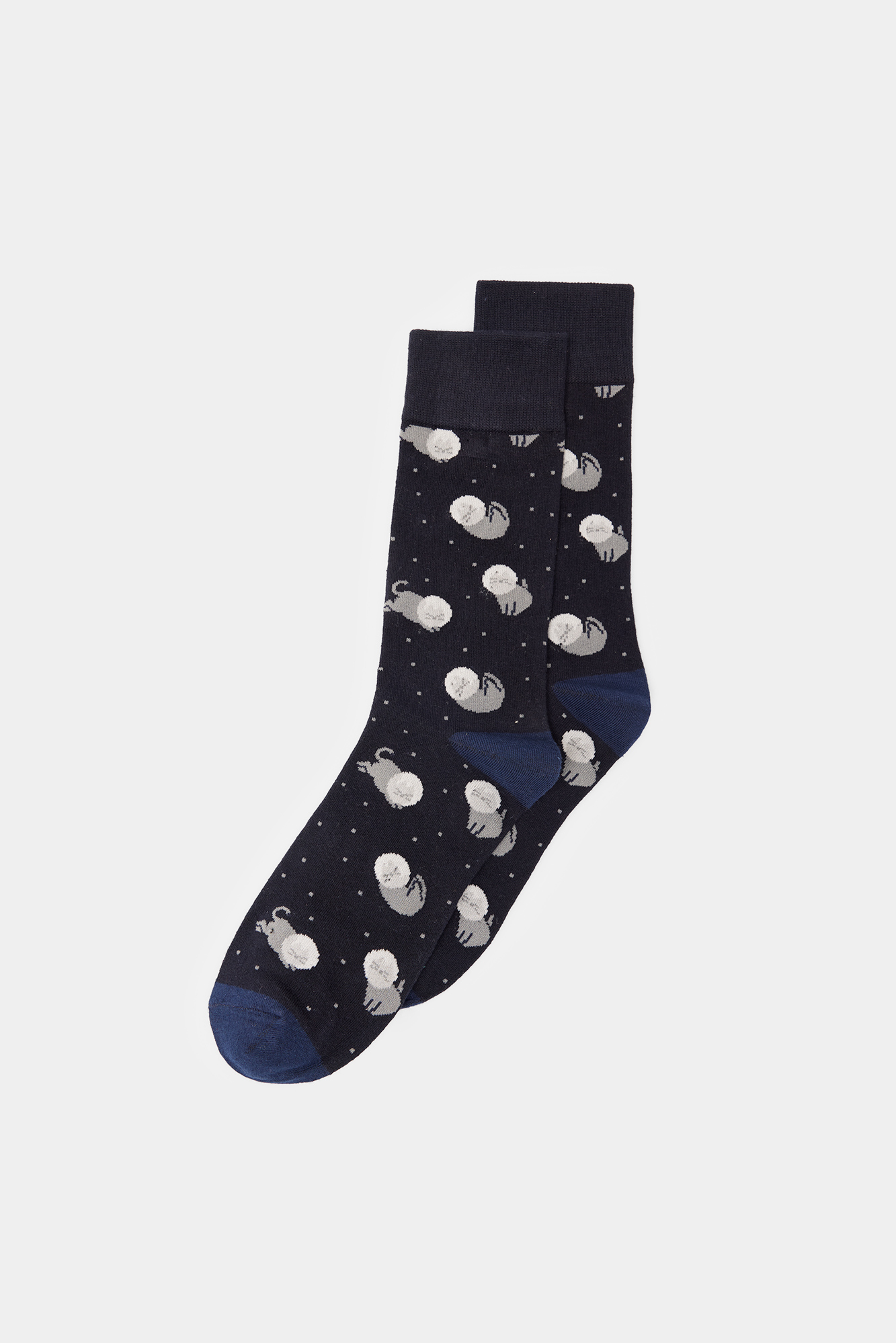 gato espacial de meia comprida