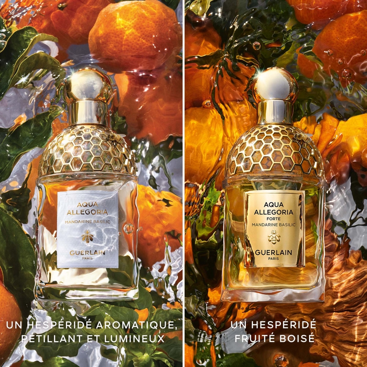 GUERLAIN Aqua Allegoria Forte Mandarine Basilic Eau de Parfum