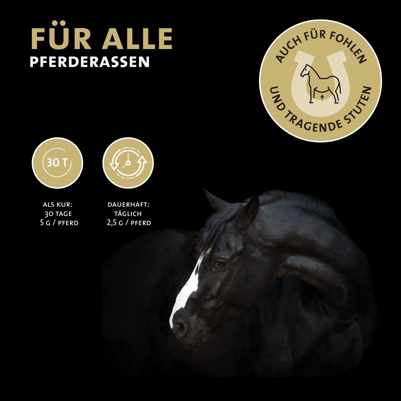 Peticare Relax-Mix Pulver für Pferde 200g