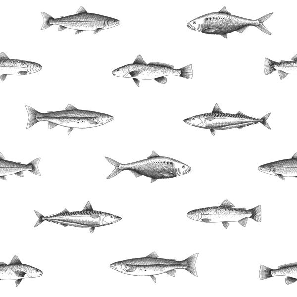 Estahome Pentekening Vissen Behang - 0,53 x 10,05 m - Wit / Zwart