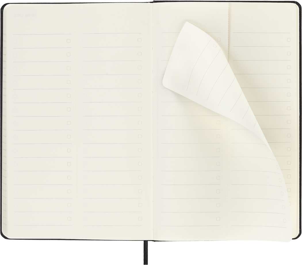 PRO Planner 2025 Large Weekly, hard cover, 12 months