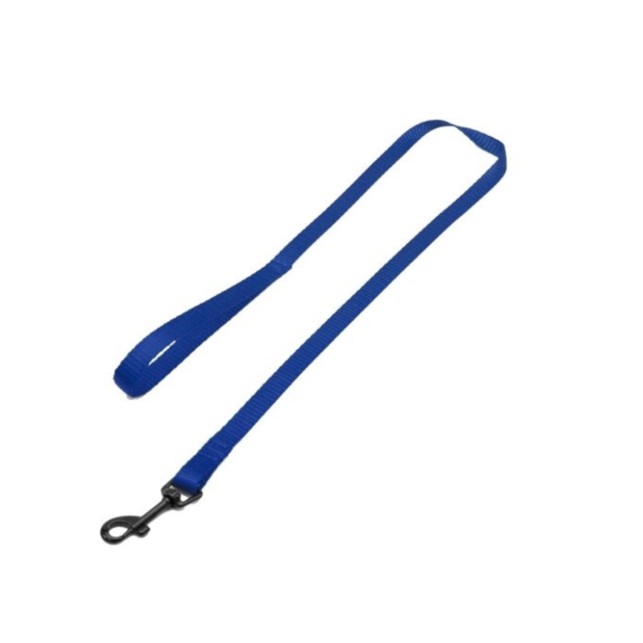 Coleira azul para cães da Outech