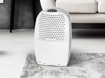 Ebac 4650. Affugter med Smart kontrol