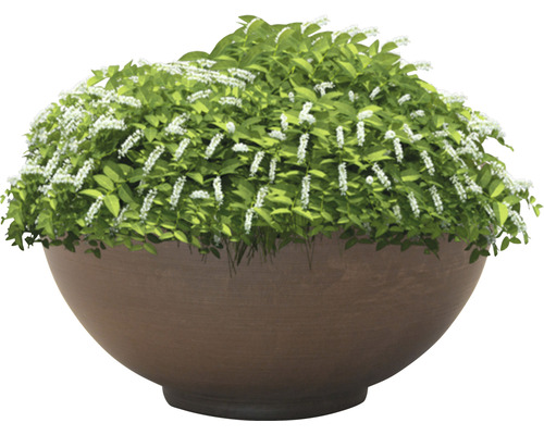 Lafiora plantenbak Ø 33 cm bruin