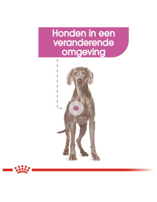 Royal Canin Relax Care Maxi - Hondenvoer