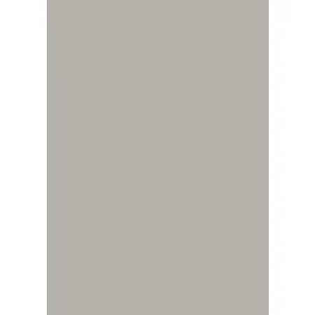 BRUNNEN Universalpapier A4 160g grau 25Bl