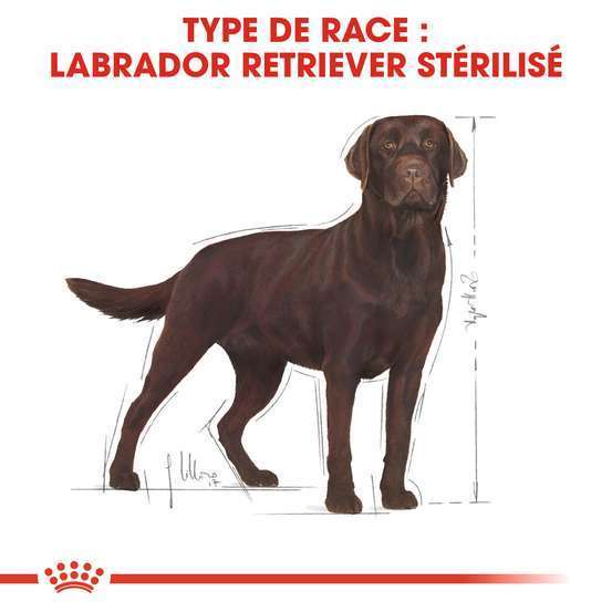 Croquettes chien Labrador Sterilised plus de 15 mois 12kg