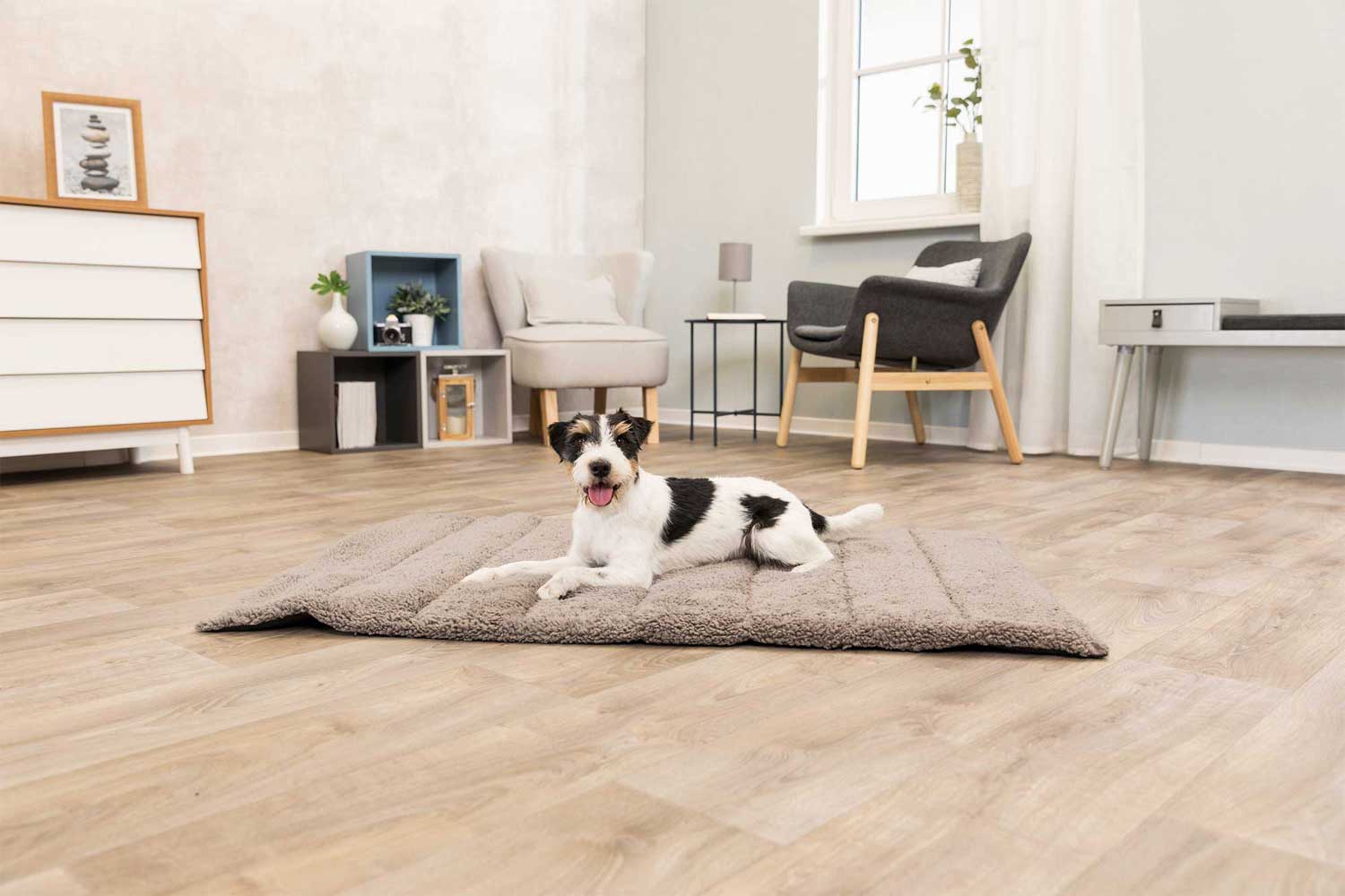 Jollypaw Reisedecke Bendson 100×65 cm dunkelgrau