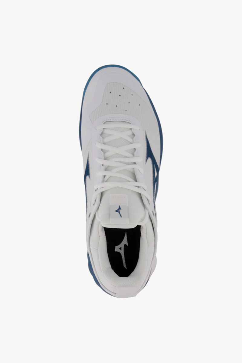 Mizuno Wave Luminous 2 Herren Hallenschuh