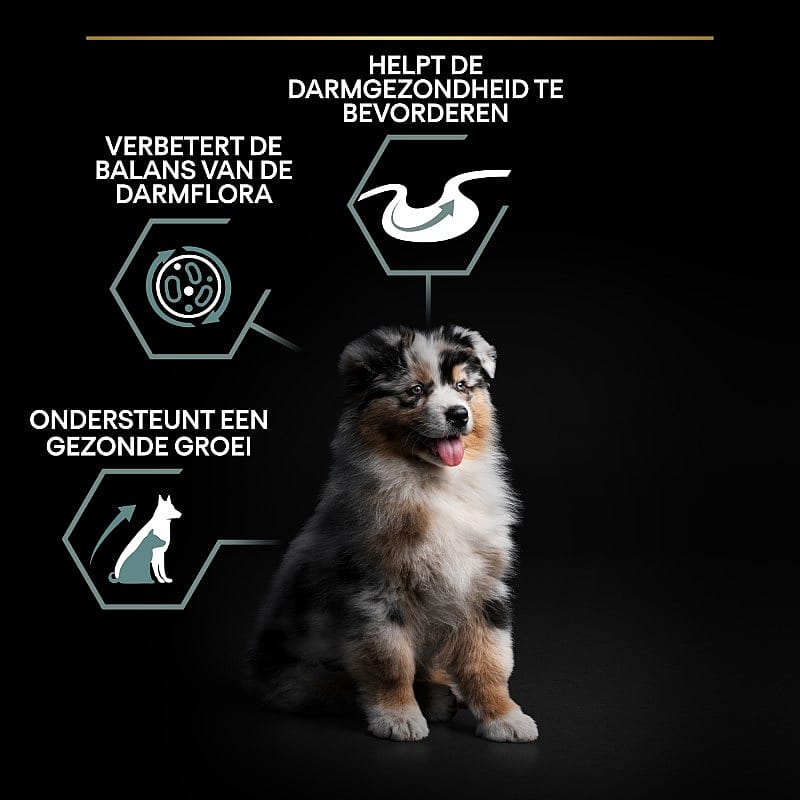 Purina Pro Plan Medium Puppy Sensitive Digestion Hondenvoer Lam 12 kg | 12818