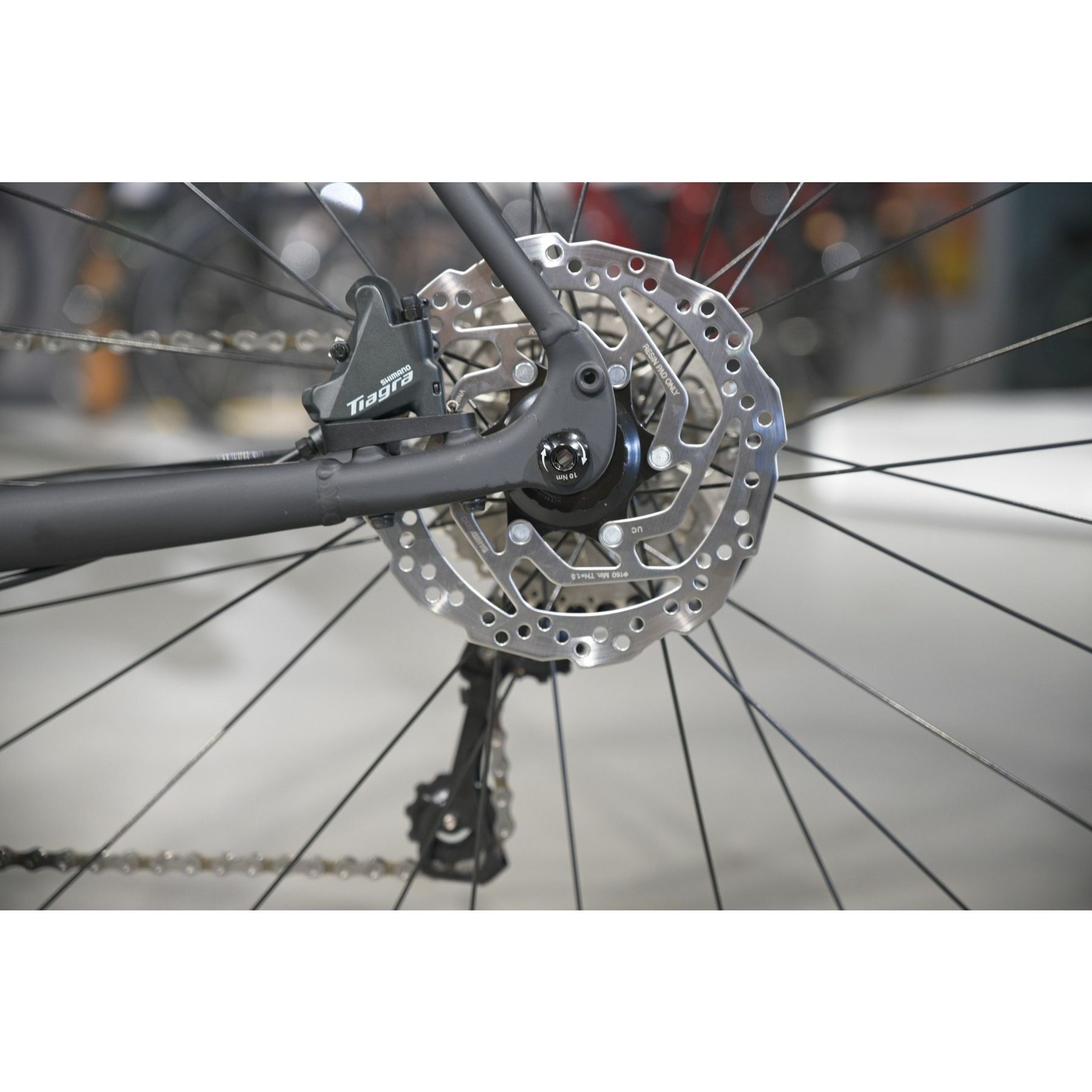 Sensa Latina LTD Tiagra Disc
