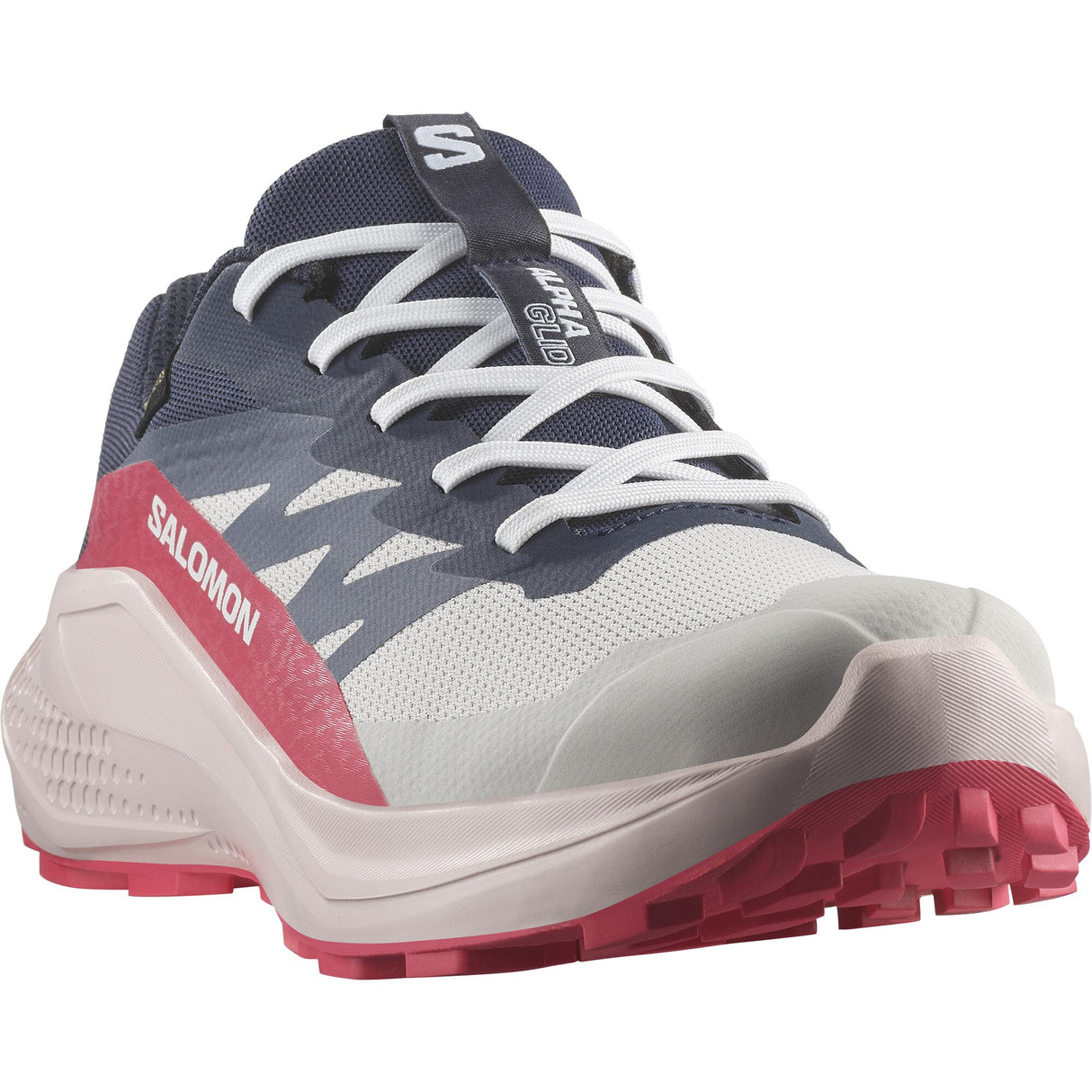 Salomon<br>Alphaglide GTX W