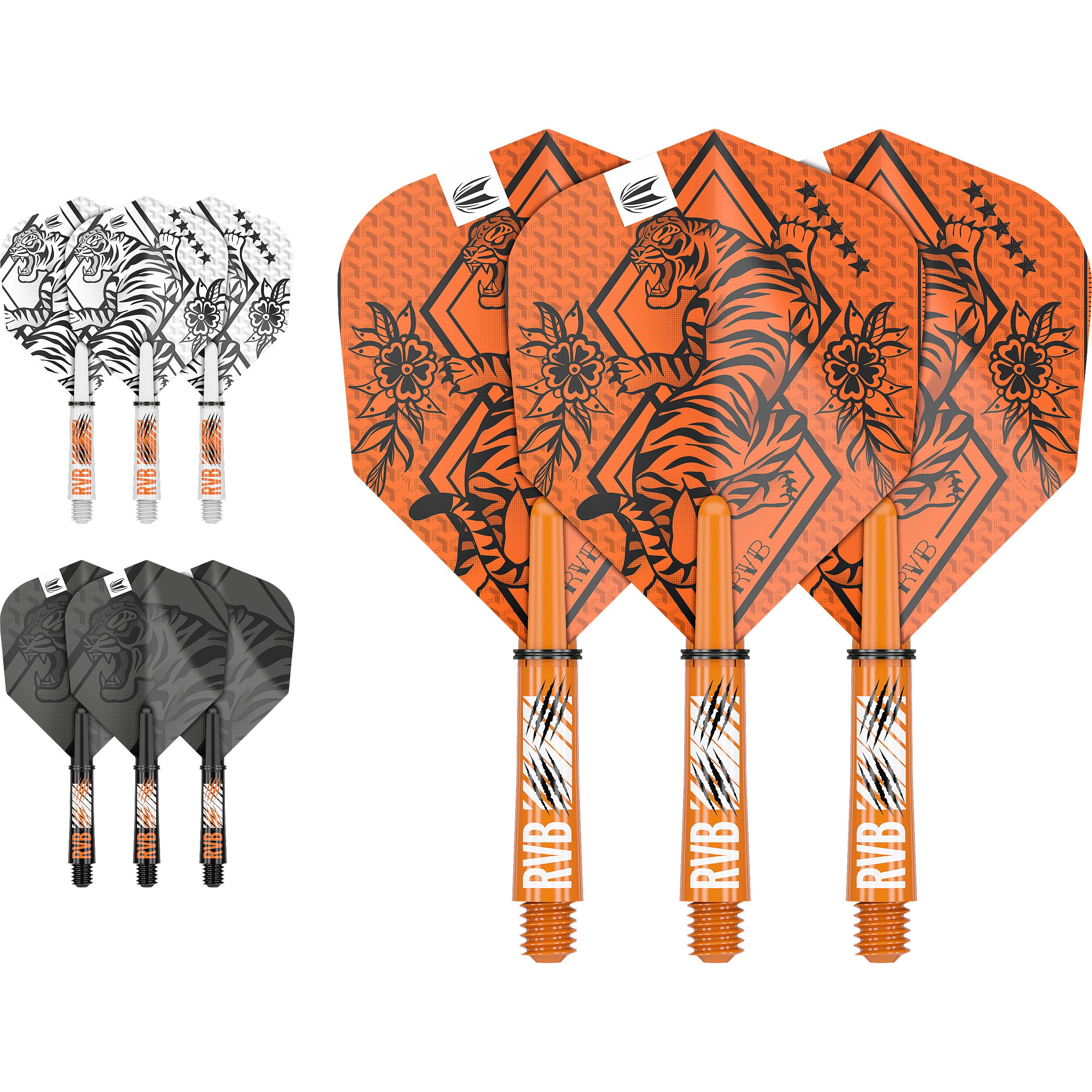 Target - Raymond van Barneveld Ink Flight & Shaft Kit