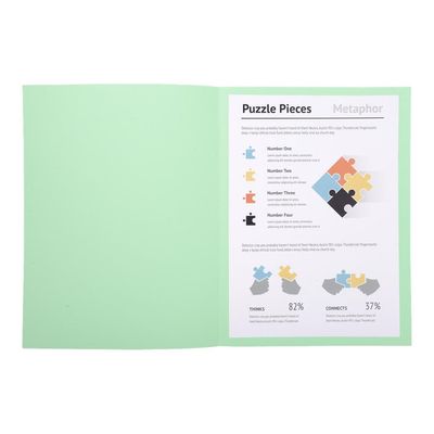 Exacompta Super 210 - 100 Chemises - 210 gr - vert pâle