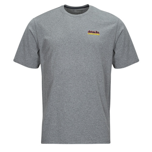 Patagonia - M'S FITZ ROY WILD RESPONSIBILI-TEE Gris