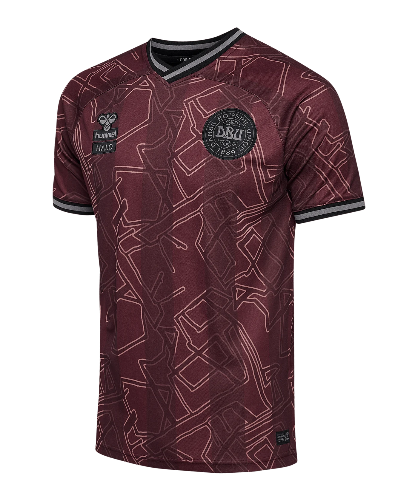 Hummel Dänemark x Halo Trikot 2024 Kids Blau F8186