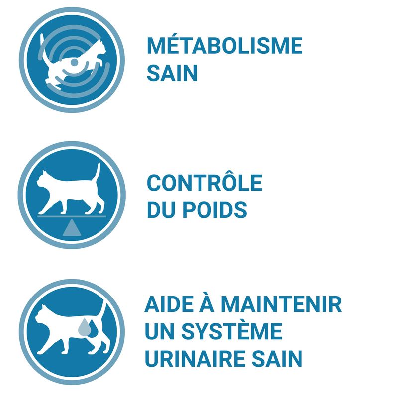 PURINA ONE Stérilisé au saumon