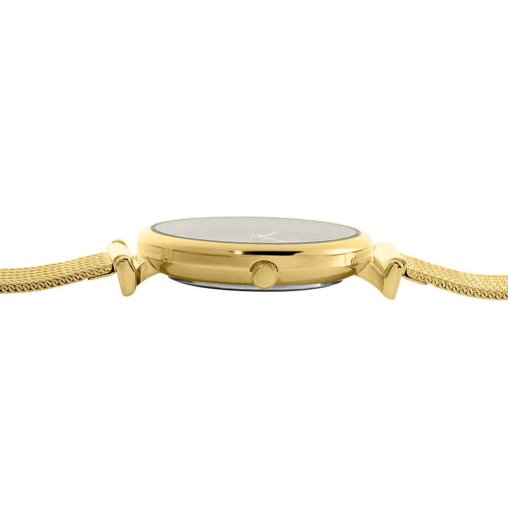 Montre Codhor Nidia Vert
