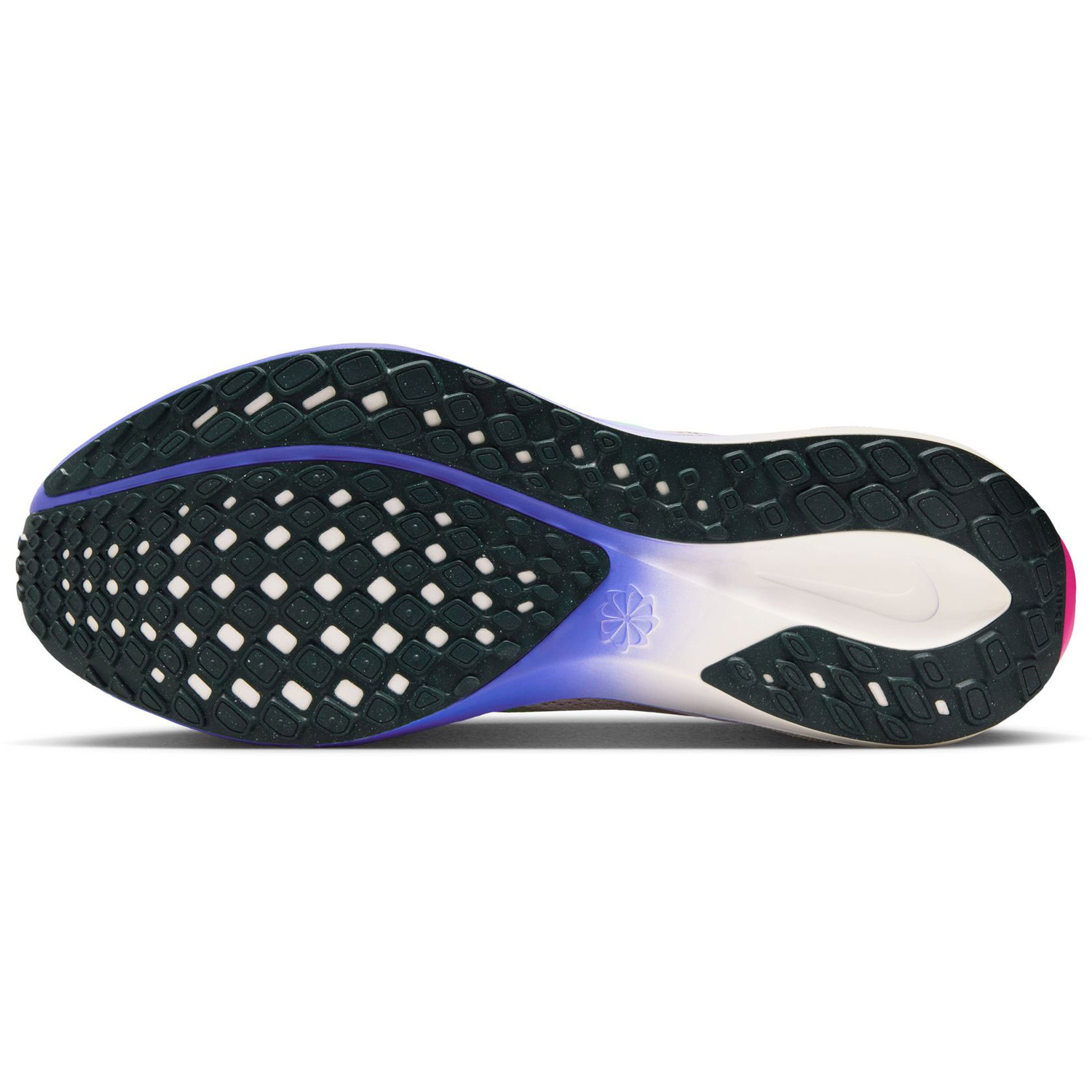 Nike Pegasus 41 EK Heren