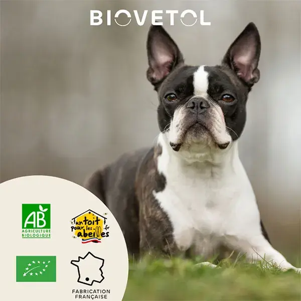 Biovetol - Pó orgânico Regul'Transit para cães de pequeno porte (<10kg) - 32g
