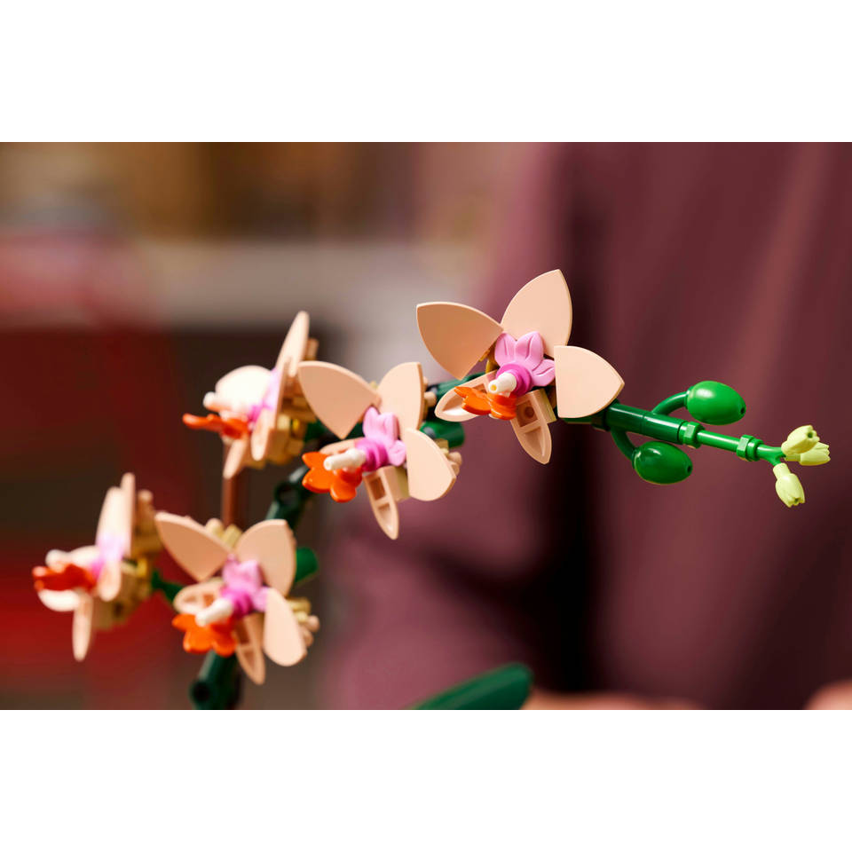 LEGO Botanicals mini orchidee 10343