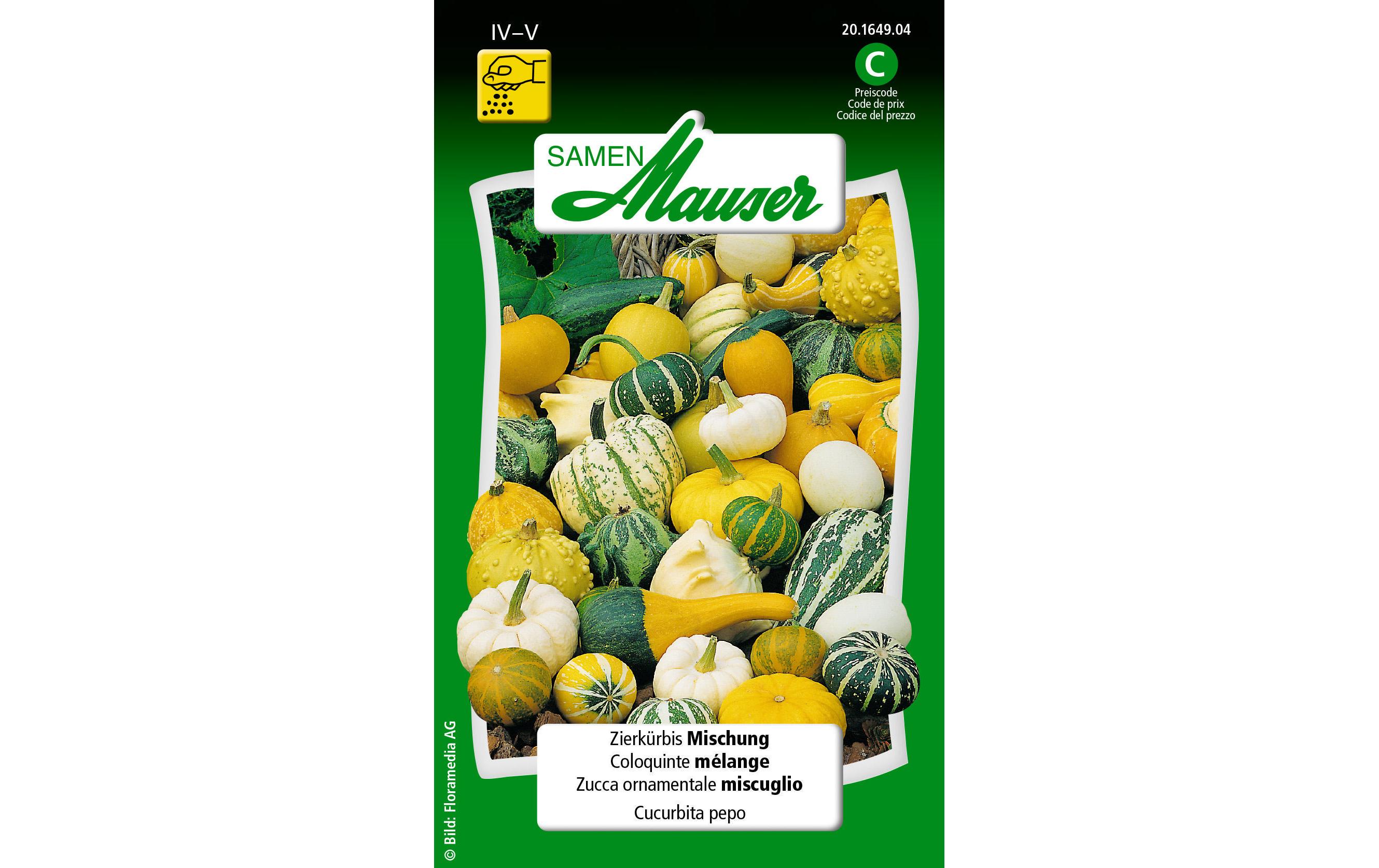 Saatgut Zierkürbis MischungBlumensamen