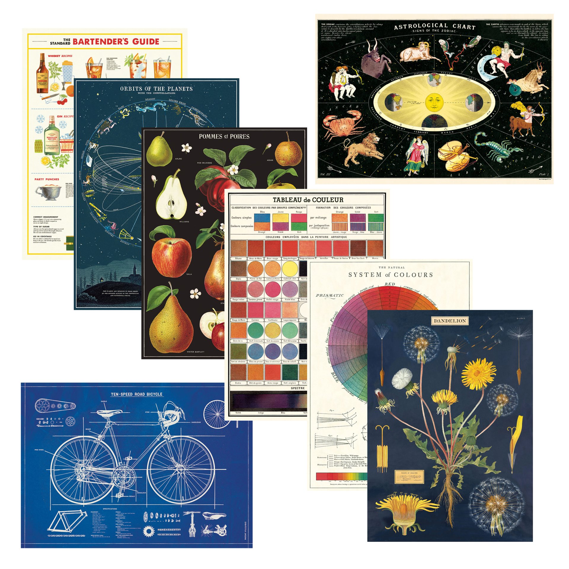 Cavallini Geschenkpapier/Poster
