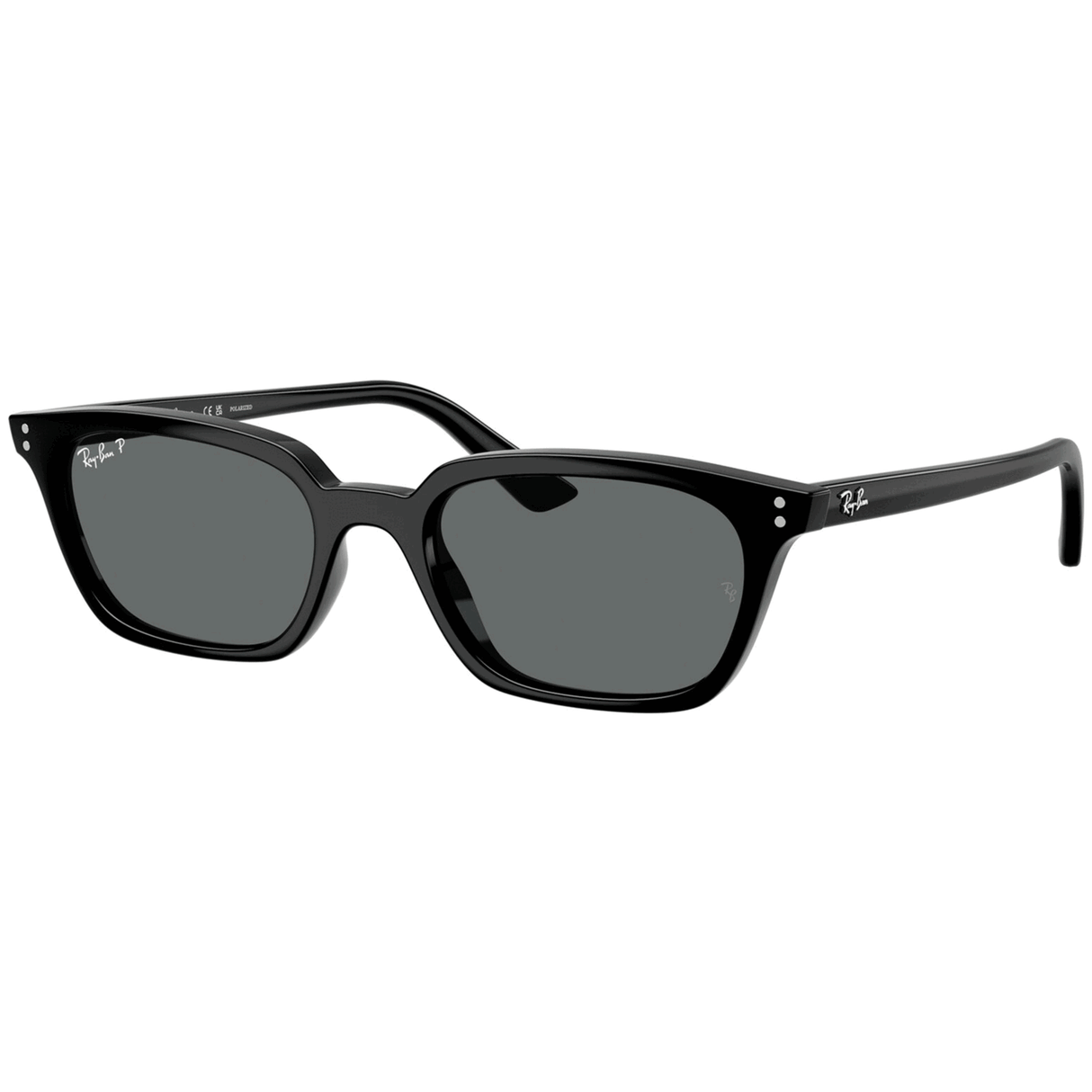 Ray-Ban<br>Zaya Bio-based Polished Black