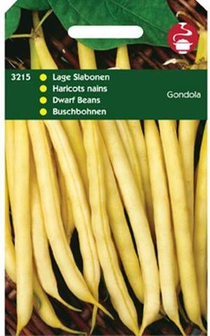 groentezaad Stamslaboon geel (Phaseolus vulgaris 'Gondola')