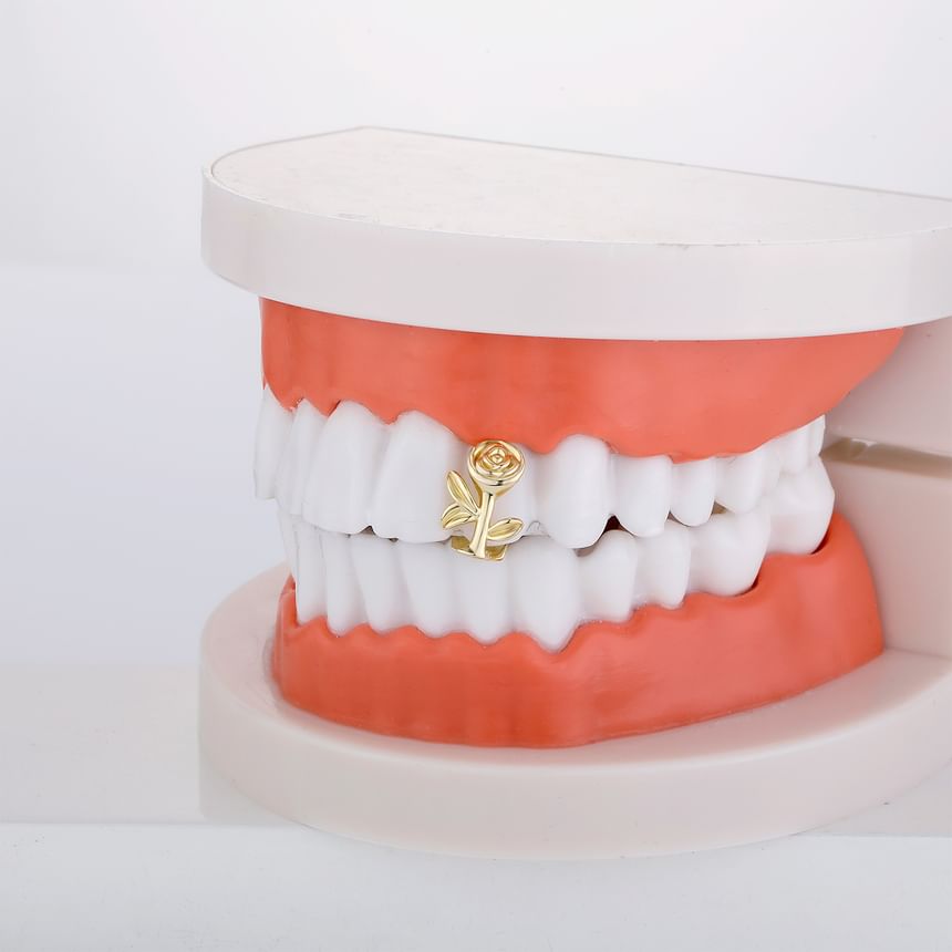 Miumi - Roos strass legering grills tand edelstenen