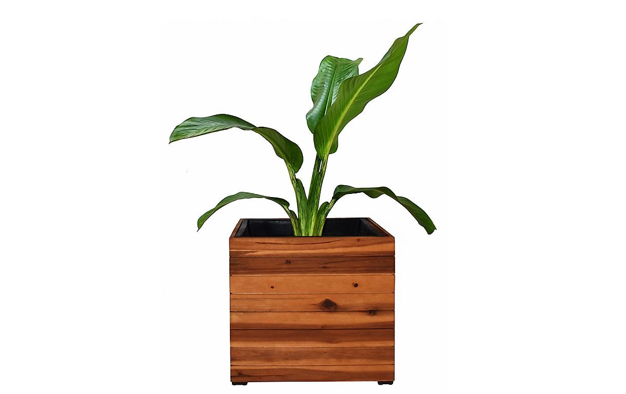 Innovesta Pflanzkübel »Akazie 44.5 × 44.5 x 40.5 cm«