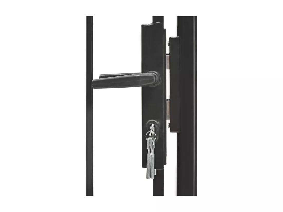 Portail de jardin Acier 1 x 1,5 m Noir