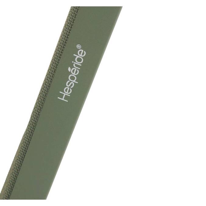 Lot de 4 chaises de jardin pliante ESSENTIA Vert laurier