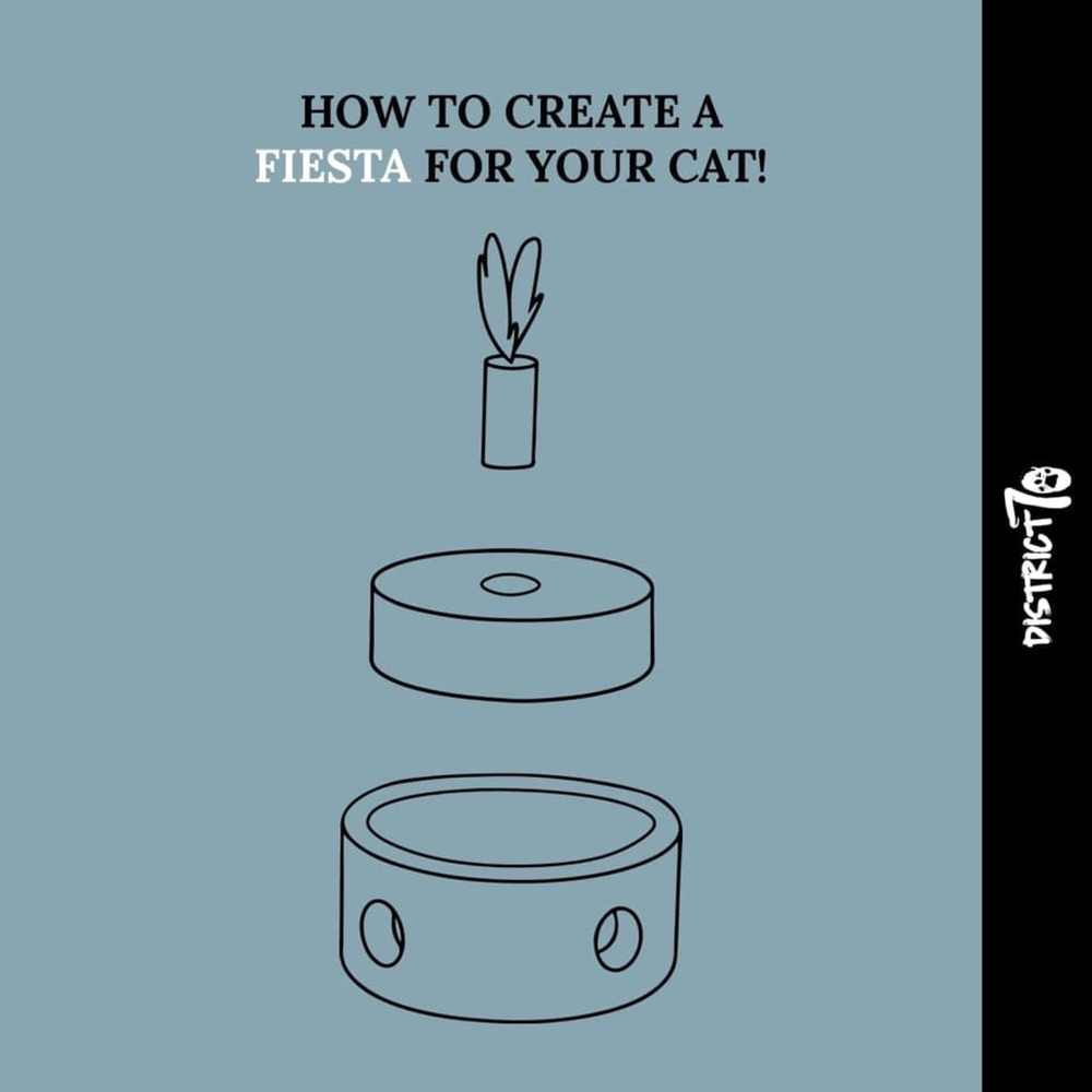 Jouet pour chats fiesta carton multicolore