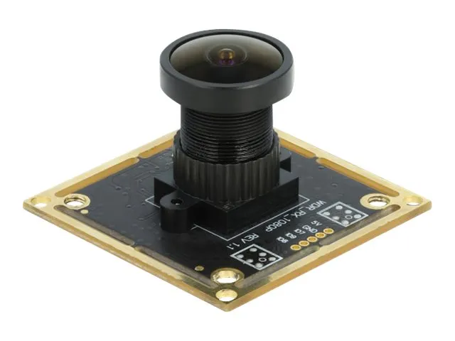 Delock USB 2.0 Camera Module with Wide Dynamic Range - Overvågningskamera - kort - farve - 1920 x 1080 - 1080p - fast brændvidde - USB 2.0 - DC 5 V