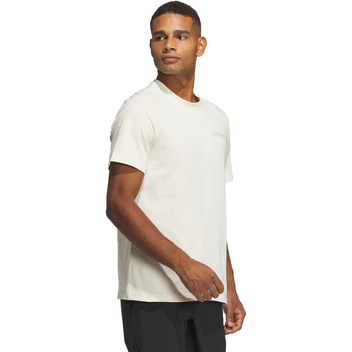 adidas Terrex GFX T-shirt Herre