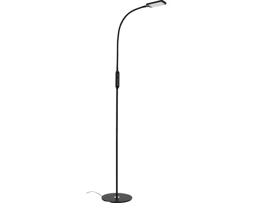 LED vloerlamp, dimbaar, CCT 700 lm, 3000-6500 KH, 140 cm, zwart, met afstandsbediening