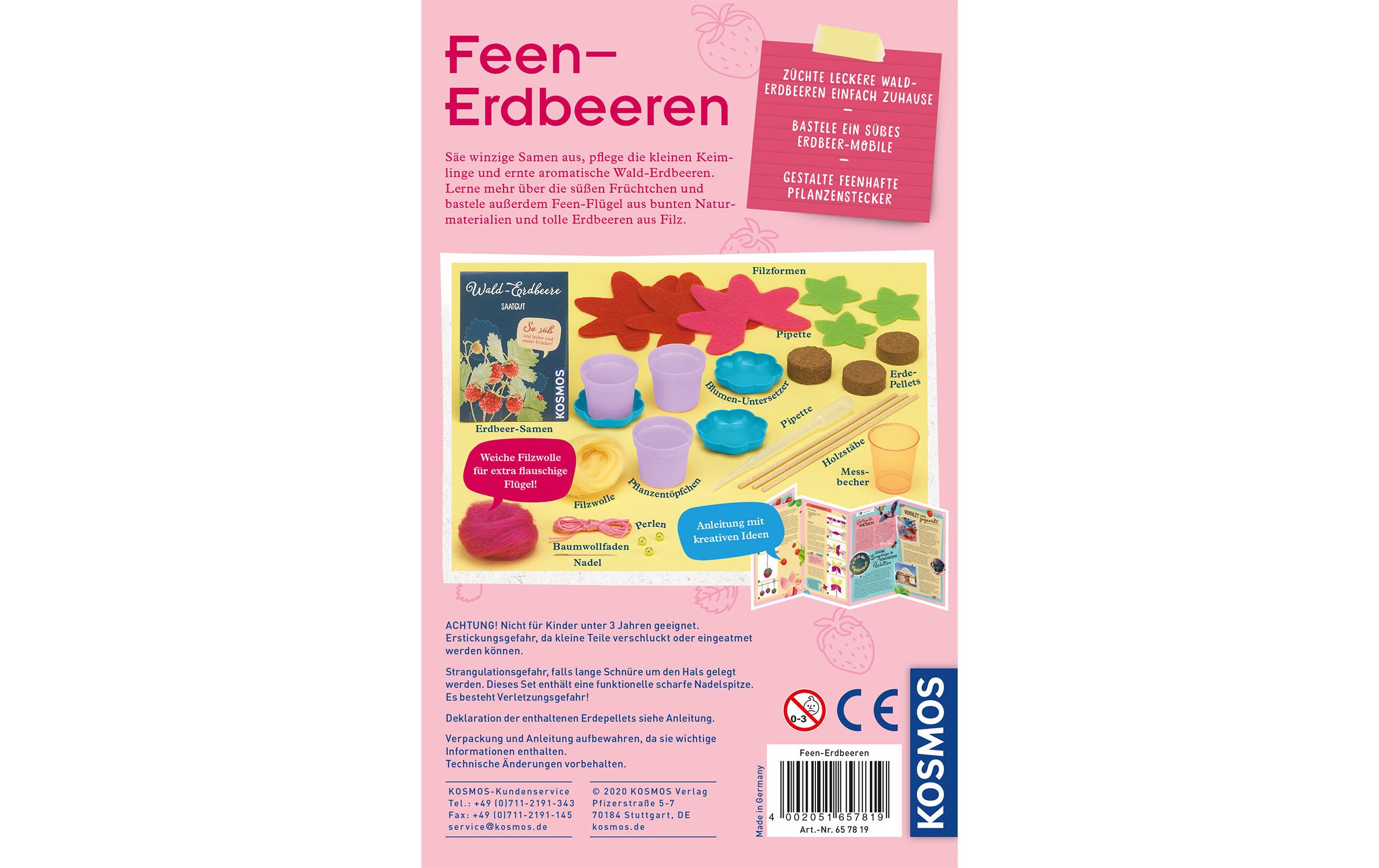 Experimentierkasten Feen-ErdbeerenSäen, pflegen und süsse Früchte naschen