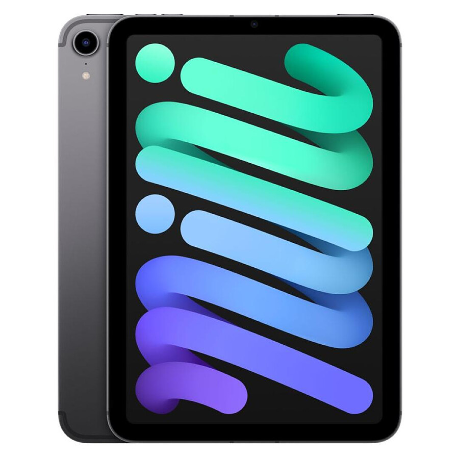 Apple iPad mini (2021) Wi-Fi + Cellular - 64 Go - Gris sidéral