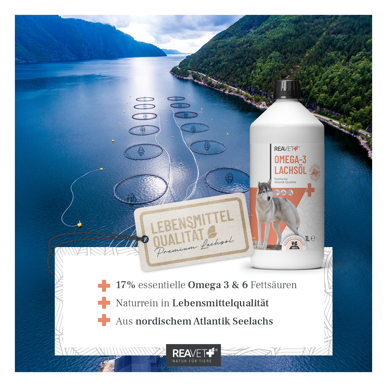 REAVET Omega-3 Lachsöl 5L