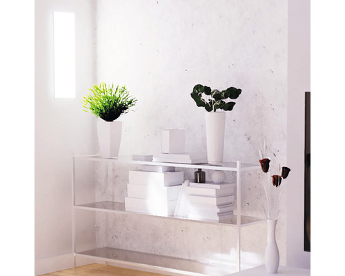 tint LED paneel wit + kleur dimbaar 24W 2200 lm 6500 K RGB kleurverandering 30x60 cm + afstandsbediening