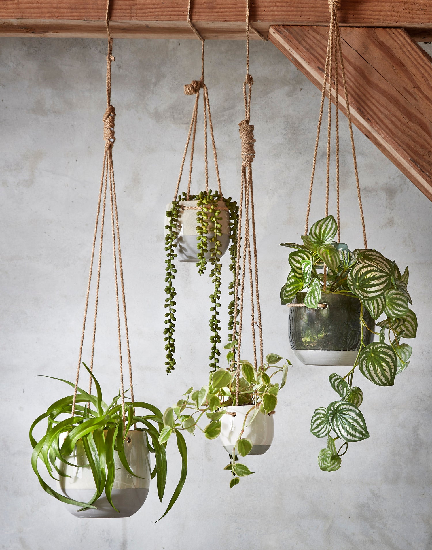 Mica Decorations kunsthangplant Erwtenplant groen 71 x 5 x 5 cm