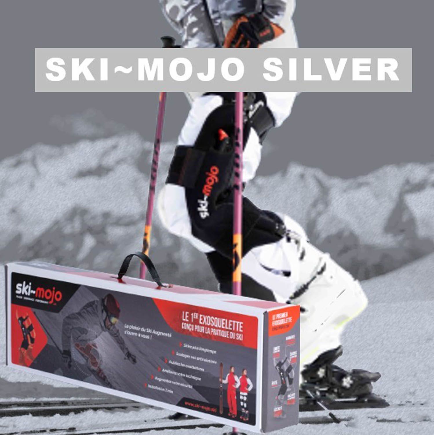 Ski Mojo  Silver