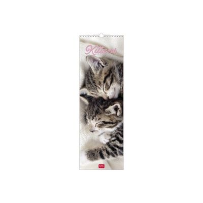 Calendrier mensuel 2024 - 16 x 49 cm - chatons