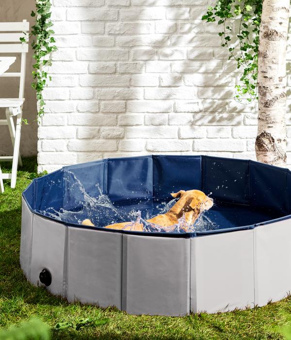 Dehner Lieblinge Hundepool Water Fun, ca.