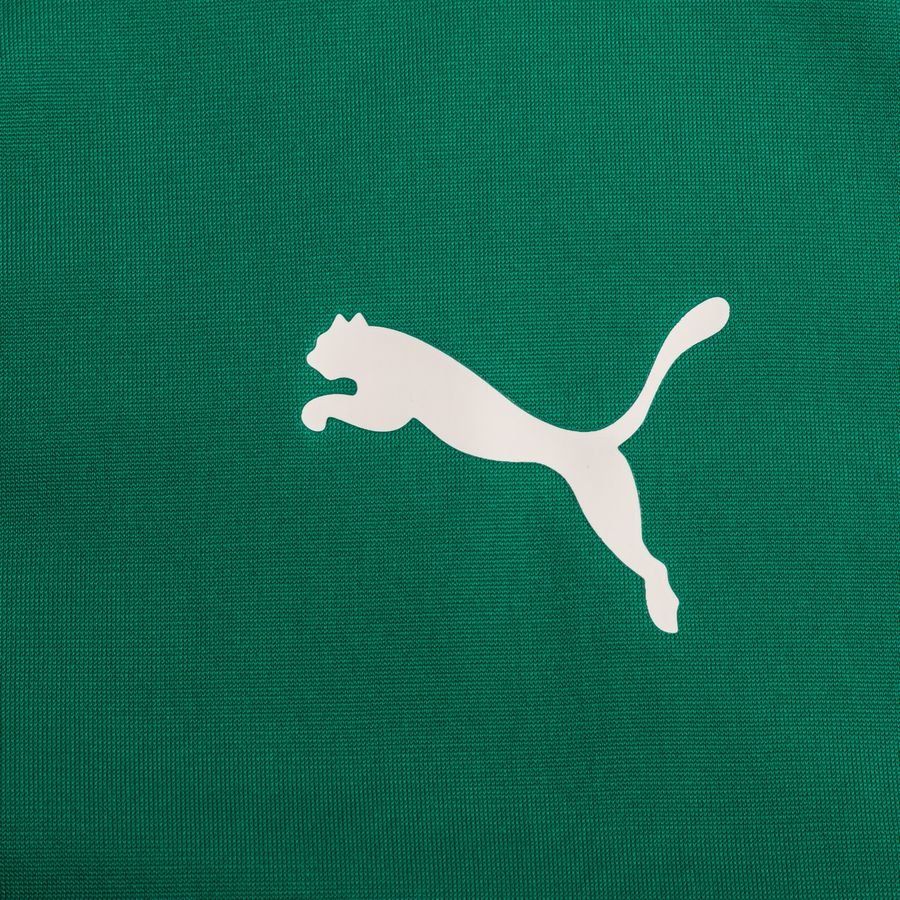 PUMA Veste d'Entraînement teamGOAL 23 - Vert/Vert