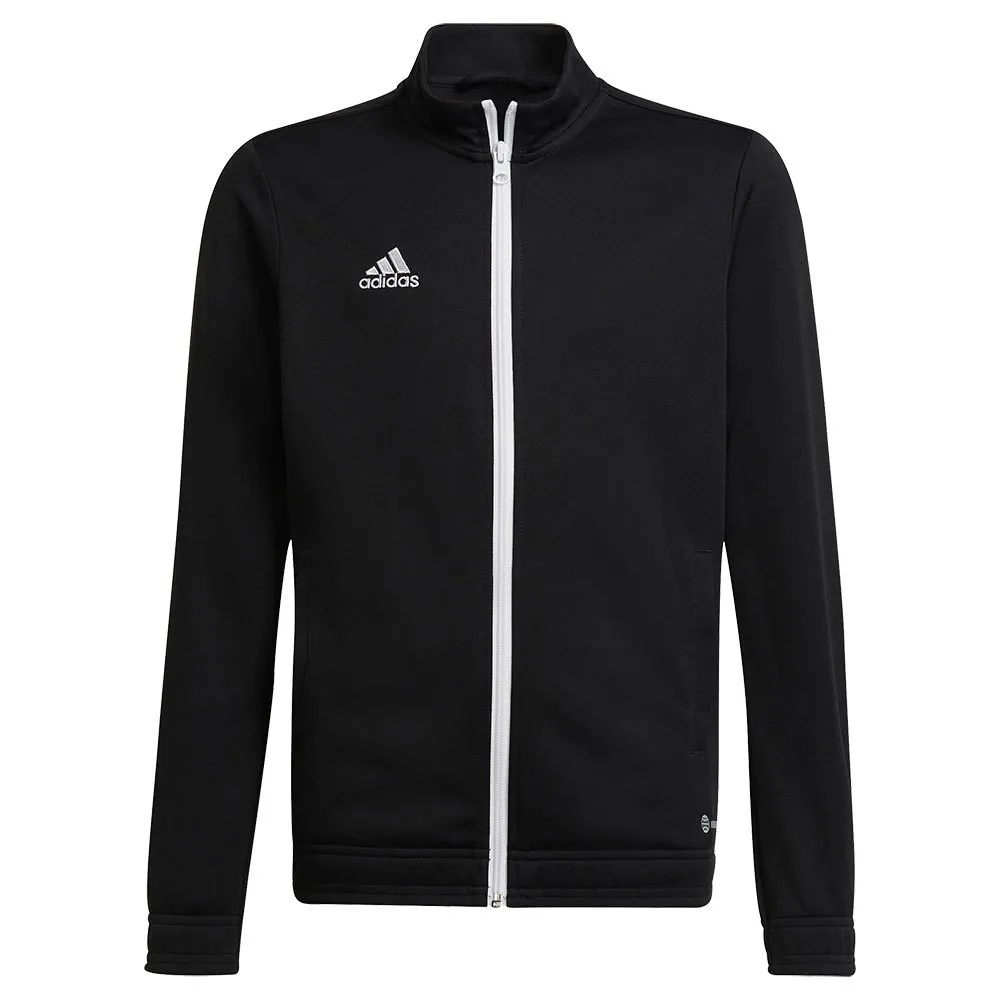 jaqueta adidas Entrada 22