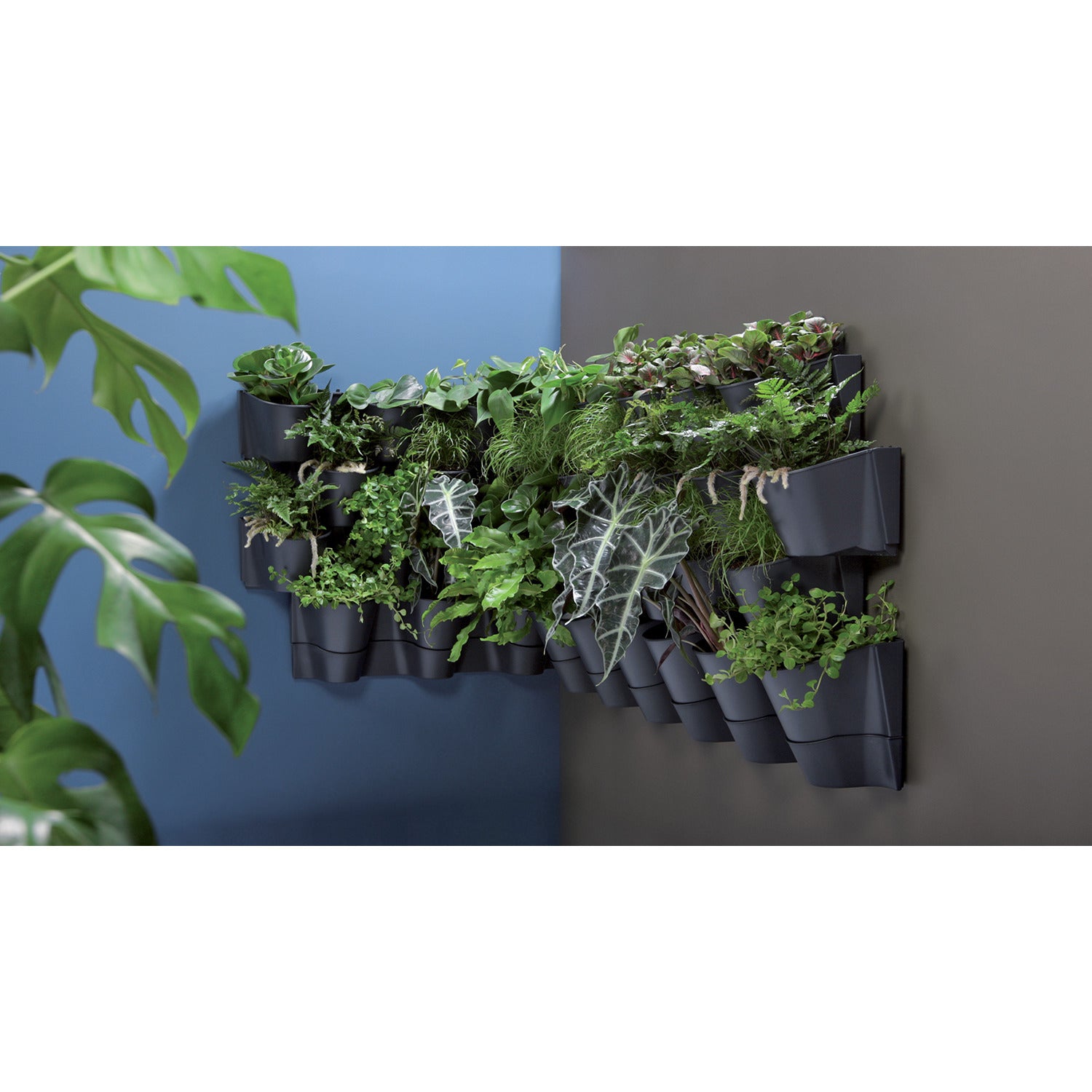 Prosperplast Plantenpotten - antraciet - L67 x B18 x H57cm